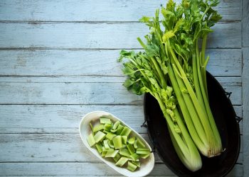 4 Reasons to Add Celery to Your Weight Loss Plan